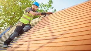 Best Roof Moss and Algae Removal  in Vernon Hls, IL