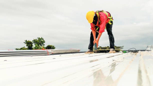 Best Hot Roofs  in Vernon Hls, IL